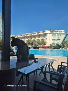 Daima Biz - Dolusu Aquapark Access - 21