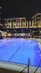 Kleopatra Royal Palm - 32