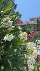 Sunmelia Beach Resort & Spa - Ultra All Inclusive - 47
