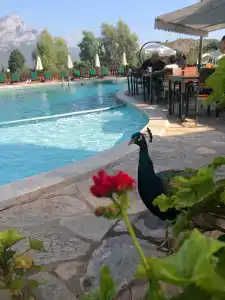 Berke Ranch&Nature - 25