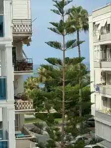 Cleopatra Golden Beach - 46