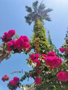 Himeros Beach - All Inclusive - 20