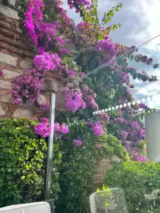 Radisson Istanbul Sultanahmet - 38