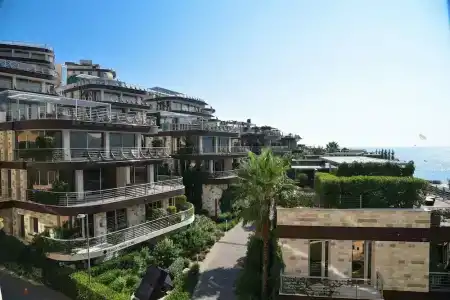 Harmonia by Dukley - 46