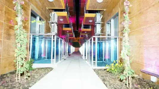 Arsi Enfi City Beach - 39