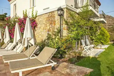 Swan Lake - Adult Only - 4