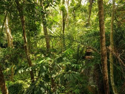Gunung An Retreat - 3