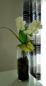 Baldacci Bed & Breakfast - 7