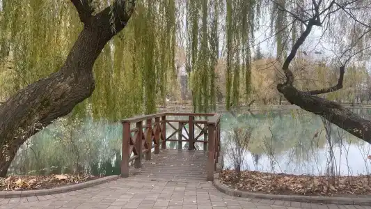 Aleksandrovski Grand - 8