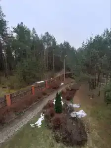 Guest house Lesnoy Edem - 85