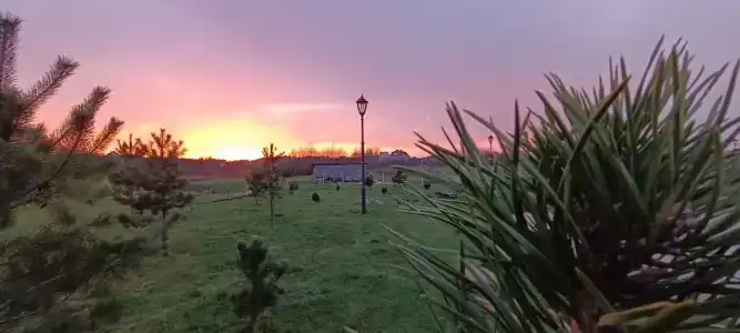 Alpha Garden Guest House - 32