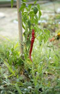 Club Datca Holiday Village - 41