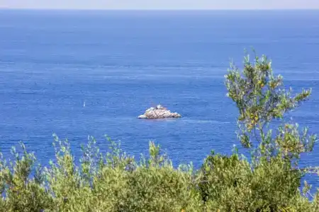Vista di Capri - 43