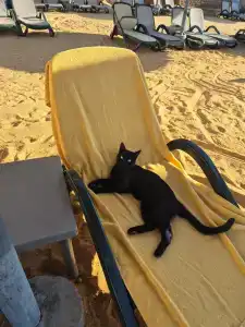 Reef Oasis Blue Bay Resort Families & Couples Only - 28