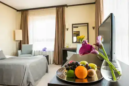 Rosslyn Central Park Sofia - 39