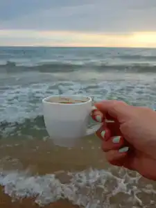 ОАЗИС домики - 45