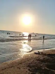 Dream World Hill - 34