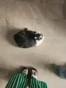 Amsterdam Boutique & Suite - 47