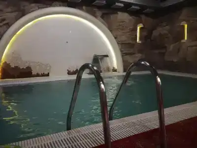 Bronzoviy Kaban Avtorskiy - 19