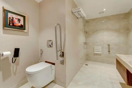 Holiday Inn Kolkata Airport, an IHG - 58