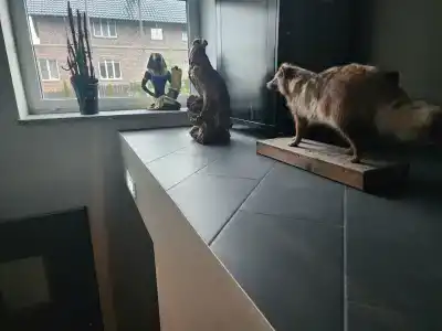 Alpha Garden Guest House - 92