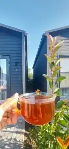 Grey House - 41