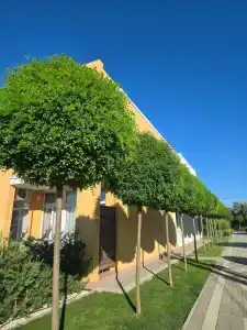 ЛетоoтеЛь - 83