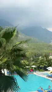 Rose Garden Premium - 10