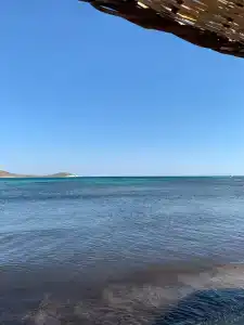 Cocos the Club Solto - 13