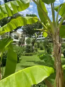 Ela Excellence Resort Belek - 11