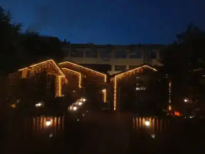 Tayozhnyij mini-hotel - 11