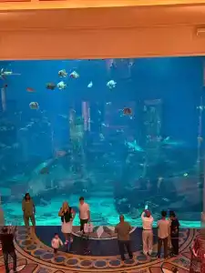 Atlantis, The Palm - 9