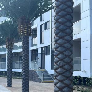 Zenith Resort & SPA - 53