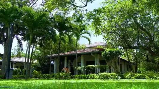 Amaluna Resorts - 46