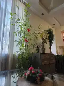 START Moskovskaya - 28