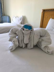 Old Palace Resort Sahl Hasheesh - 20