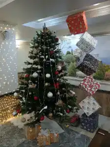 Im. Chelyuskintsev Sanatorium - 36