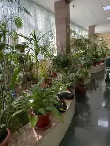 Sanatorii Lesnoi - 48