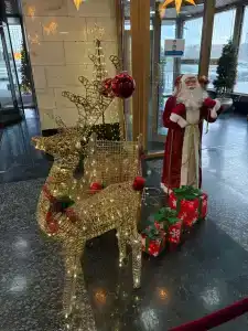 Vash Salut Apart - 14