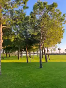 Calista Luxury Resort - 39