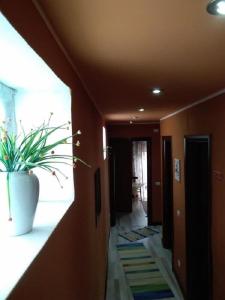 B&B "Al Calopinace" - 15