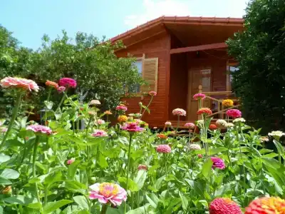 Ugur Pansiyon Çirali - 4