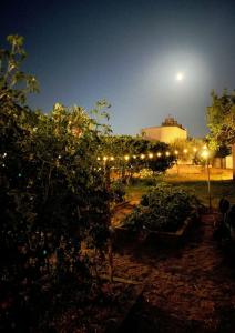 Residence San Domenico - 7