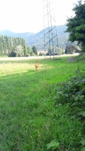 La Sorgente Bed & Breakfast - 28