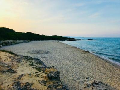 Tenuta Turchi - 23