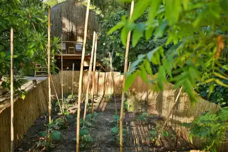 Perdue Adults Only - 38