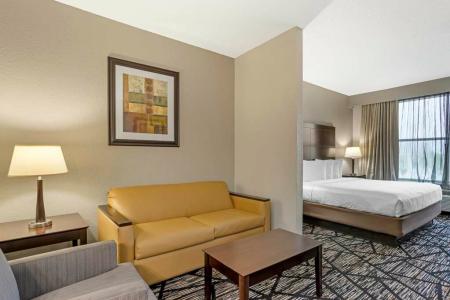 Best Western Plus Hobby Airport Inn Suites - 3