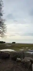 Chernichnyi Bereg - 29