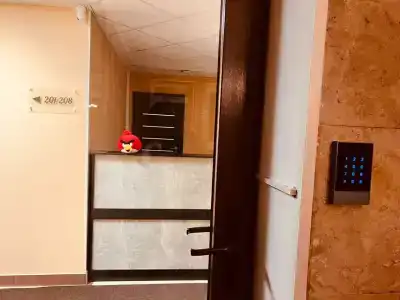 Tipichnyy Piter - 54