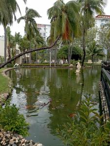 Palm Beach Resort & Spa - 24